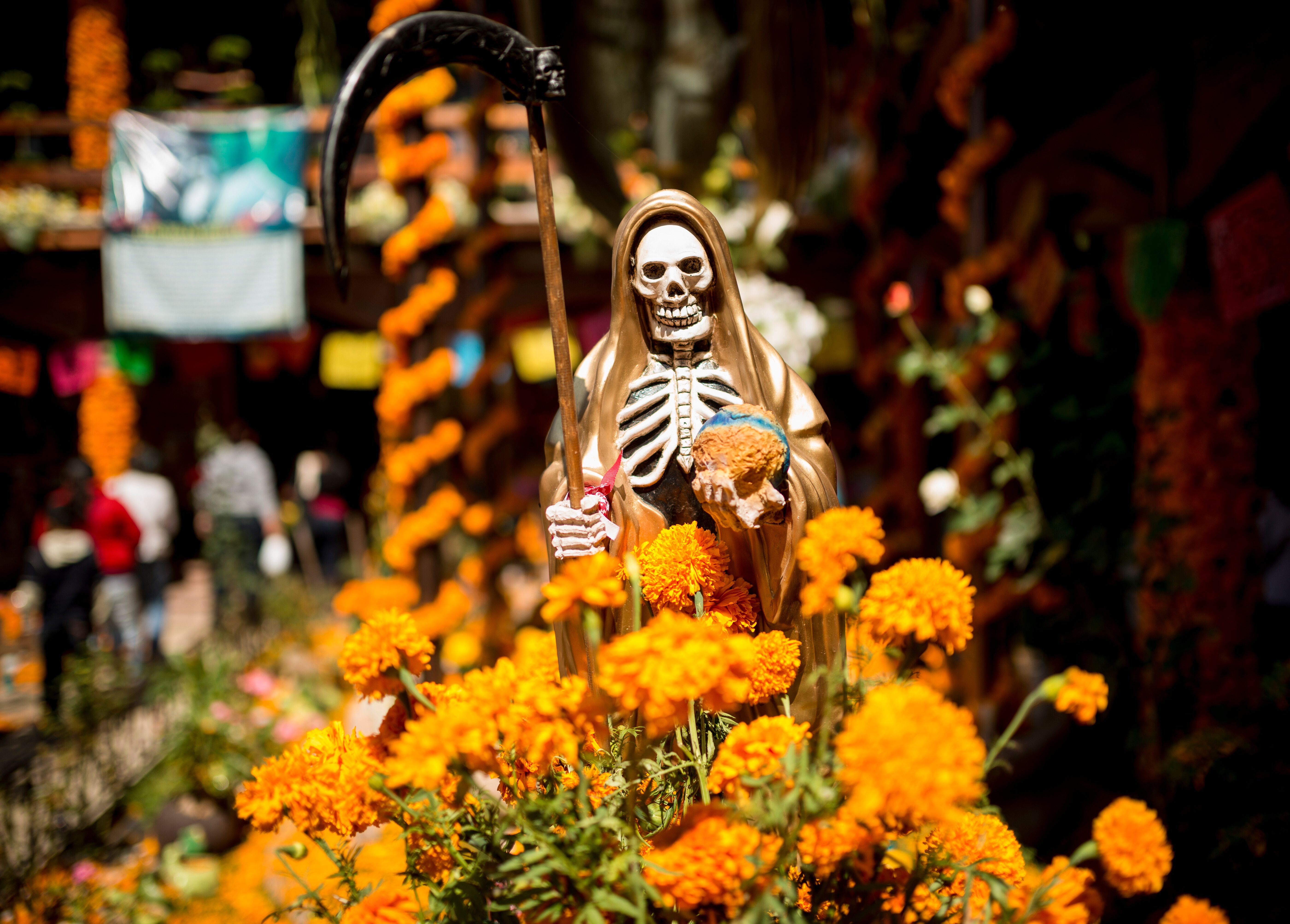 Memento Mori | Una experiencia transformacional en México diseñada por Juanpa & Meli Mental · En colaboración con Viaja Más.
Hay viajes que cambian de lugar, este cambia de perspectiva.
